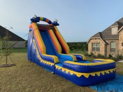 Dolphin20Drop3 1747278979 Dolphin Splash Wet/Dry Slide