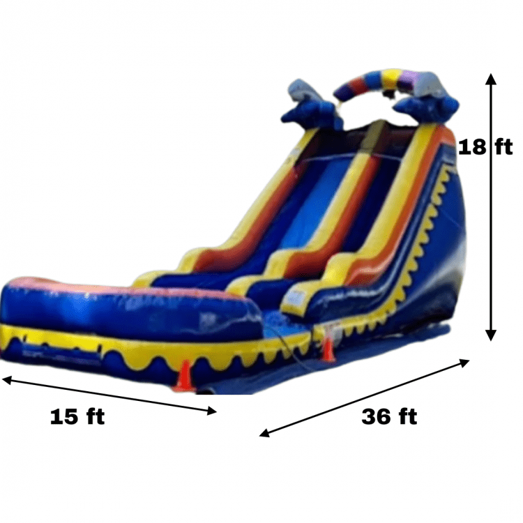 Dolphin Splash Wet/Dry Slide