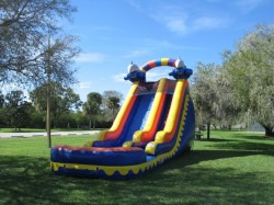 Dolphin20Splash2 1747278979 Dolphin Splash Wet/Dry Slide