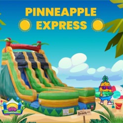 Pineapple Express Dual Lane Wet/Dry Slide