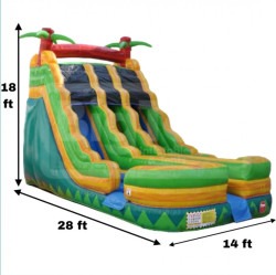 Pineapple Express Dual Lane Wet/Dry Slide