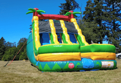 rc2n6pob 1747523572 Pineapple Express Dual Lane Wet/Dry Slide