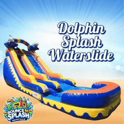Dolphin Splash Wet/Dry Slide