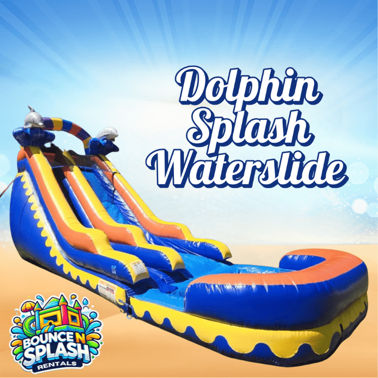 Dolphin Splash Wet/Dry Slide