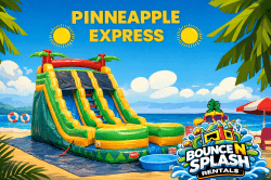 Pineapple Express Dual Lane Wet/Dry Slide